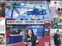 2021年南京第十四届人工智能机器人无人机展览会