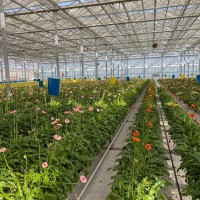 智能升降基质槽-空中草莓栽培系统-智能种植塔-无土栽培滴灌